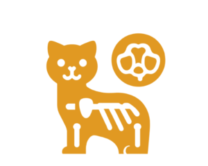 Clinica-Felina-Vigo