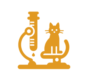 Clinica-Felina-Vigo