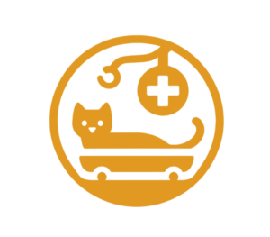 Clinica-Felina-Vigo